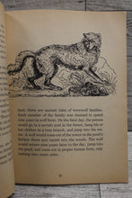 Load image into Gallery viewer, Meet the Werewolf by Georgess McHargue - Paperback