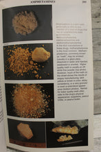 Load image into Gallery viewer, Drug Identification Bible - 2nd Edition - Tim Marnell