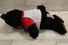 Load image into Gallery viewer, Plushology Stuffed Black Teddy Bear Souvenir Animal Plush - Tennessee - Used