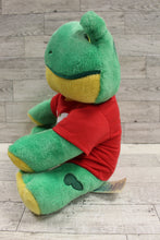 Load image into Gallery viewer, Build-A-Bear BAB Frog with T-Shirt - Used