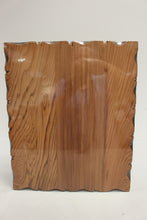 Load image into Gallery viewer, Vintage ADCO California Coast Redwood Plaque - 17"x 14" - New