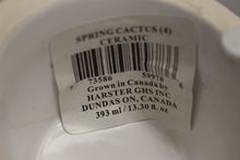 Load image into Gallery viewer, Spring Cactus Ceramic Flowerpot - 13.3 oz. - New