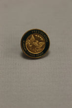 Load image into Gallery viewer, Presidential Academic Fitness Award Pin - Green &amp; Brass - Used