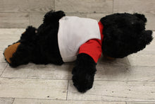 Load image into Gallery viewer, Plushology Stuffed Black Teddy Bear Souvenir Animal Plush - Tennessee - Used