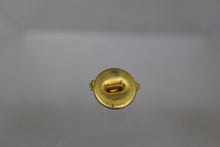 Load image into Gallery viewer, US Army Air Corps Ruptured Duck Pin - Used