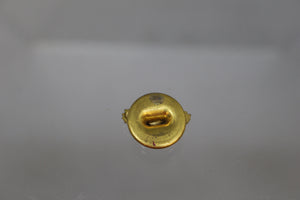 US Army Air Corps Ruptured Duck Pin - Used