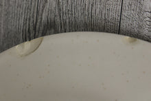 Load image into Gallery viewer, Pfaltzgraff Portfolio Naturewood Plate - Watering Can - Used