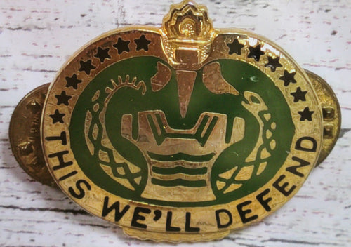 US Army Drill Sergeant's This We'll Defend Pin -Used