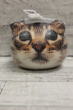 Load image into Gallery viewer, Feline Fine Stress Ball - New
