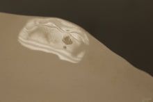 Load image into Gallery viewer, 1977 Mason's Ironstone Queen Elizabeth II Silver Jubilee Commemorative Plate