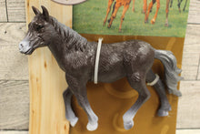 Load image into Gallery viewer, Wonder World of Nature Champion Horse Figure Toy - New
