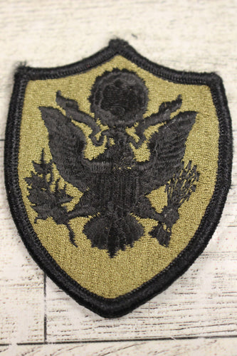 US Army Joint Department of Defense Patch - Hook Backing - Used