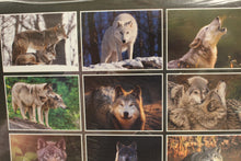 Load image into Gallery viewer, 2025 Wolves Calendar - 9" x 12" - New