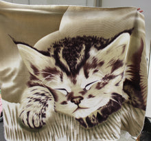 Load image into Gallery viewer, Double Sided Cat Face Blanket - 60" x 48" - Used