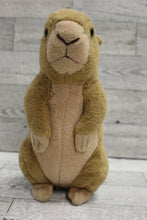 Load image into Gallery viewer, Wild Republic Mini Prairie Dog Stuffed Animal Plush - Used