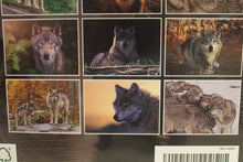 Load image into Gallery viewer, 2025 Wolves Calendar - 9" x 12" - New
