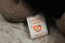 Load image into Gallery viewer, TY Beanuie Baby Ringo Raccoon -Used