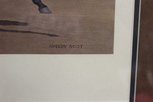 SPEEDY SCOT Sensational Trotter in Harness Racing by Allen F. Brewer Jr. Framed