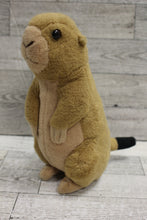 Load image into Gallery viewer, Wild Republic Mini Prairie Dog Stuffed Animal Plush - Used