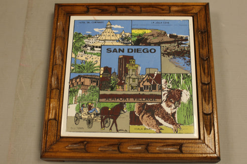 San Diego Wood/Cork Trivet - 8