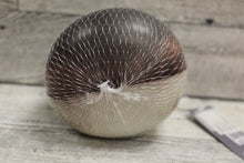 Load image into Gallery viewer, Feline Fine Stress Ball - New