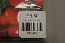 Load image into Gallery viewer, Red Cap Greetings Notebook - 5-3/4" x 4" - New
