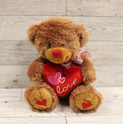 Valentine Plush Teddy Bear - Used