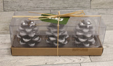 Load image into Gallery viewer, Tag Frosted Snow Covered Pinecones Candles - 3 Pack - New