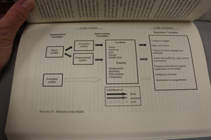 Wars in the Midst of Peace - The International Politics of Ethnic Conflict