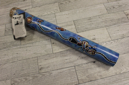 Birvbi Art Rainstick - Used