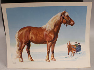 Sam Savitt The Hafflinger Print - 10.5 x 8