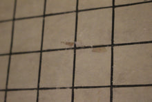 Load image into Gallery viewer, Vintage Traum Folding Workboard Sewing Cutting Design Grid - 40" × 72" - Used