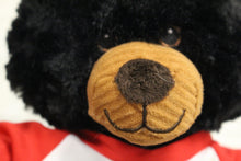 Load image into Gallery viewer, Plushology Stuffed Black Teddy Bear Souvenir Animal Plush - Tennessee - Used