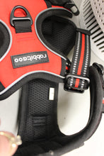 Load image into Gallery viewer, Rabbitgoo No Pull Dog Harness - Large - Red - New