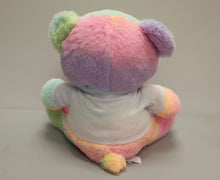 Load image into Gallery viewer, Fiesta Rainbow Sherbet 10&quot; Teddy Bear Plush - Electric Dance Center - Used
