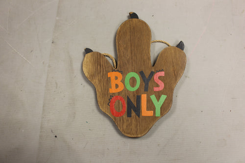 Boys Only Dino Paw Wall Decor - New