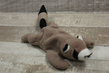 Load image into Gallery viewer, TY Beanuie Baby Ringo Raccoon -Used