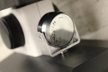 Load image into Gallery viewer, Boreal Student Monocular Compound Microscope - 55400-00 - 4x 10x 20x H10X