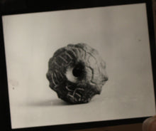 Load image into Gallery viewer, Pre-WWII German Educational Lantern Slide of Carved Perforated Stone Artifact