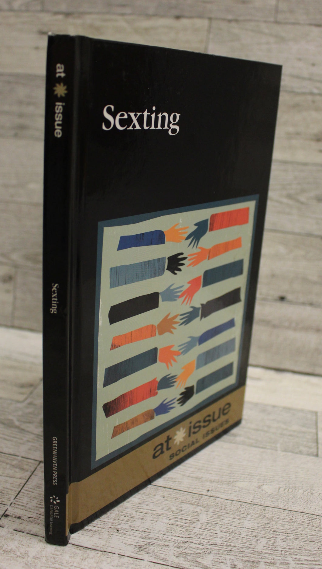 Sexting (At Issue) - Stefan Kiesbye