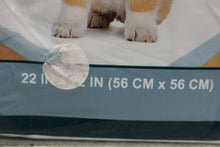 Load image into Gallery viewer, Greenbrier Kennel Club Pet Training Pads - 4 Pack - 22x22 in - New