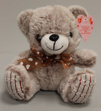 Load image into Gallery viewer, MTY International Valentine's Day Teddy Bear Stuffed Plush - New