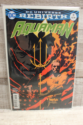 DC Comics Aquaman #66 (Endless Winter) Comic Book -Used