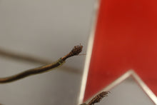 Load image into Gallery viewer, Vintage Anheuser-Busch Michelob Light Up Sign - 18&quot; x 12&quot; - Used