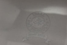 Load image into Gallery viewer, Ideal Pet Products Clear Vinyl Replacement Flap - Super Large - 15" x 20"