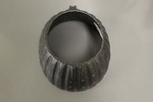 Load image into Gallery viewer, The Summit A99R Replacement Foam Liner for A99R &amp; A119R, P/N: A99R, New