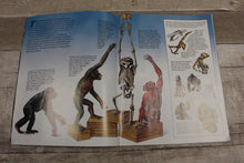 Load image into Gallery viewer, Zoobooks Magazine: Apes -Used