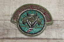 Load image into Gallery viewer, U.S. Air Force 162nd Tactical Fighter Squadron Sew On Patch -Used