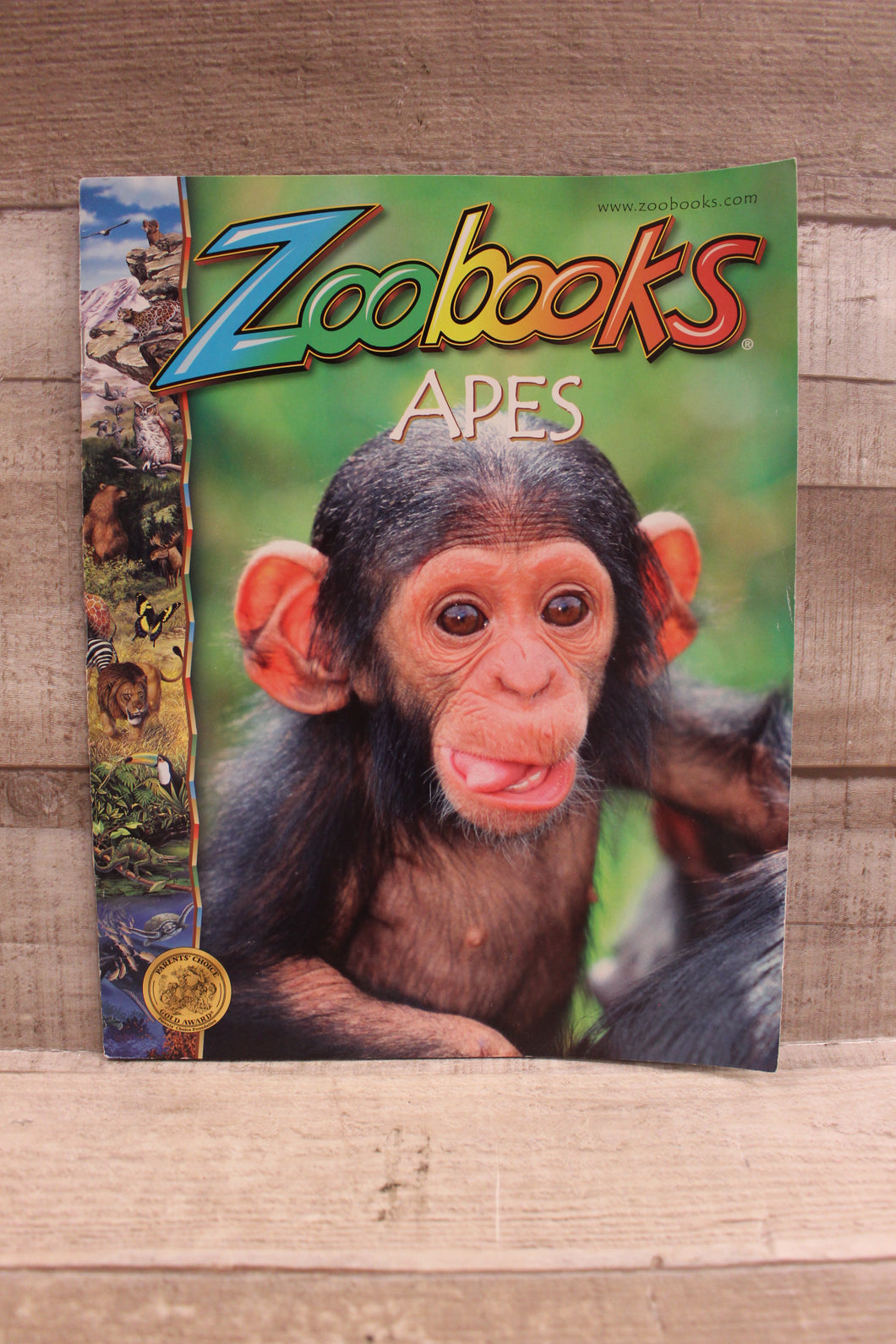 Zoobooks Magazine: Apes -Used