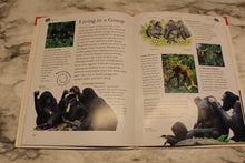 Load image into Gallery viewer, Great Apes - Nature Fact File - By Barbara Taylor - Used